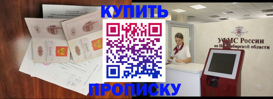 временная регистрация поиск в Новосибирской области